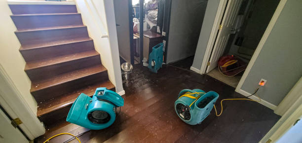 Best Water damage cleanup near me  in Lenexa, KS