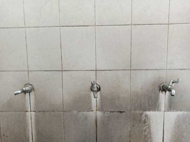Best Local water damage restoration  in Lenexa, KS